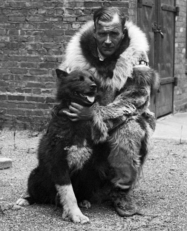 Musher in a fur parka embracing his lead sled dog, serum run era, 1925