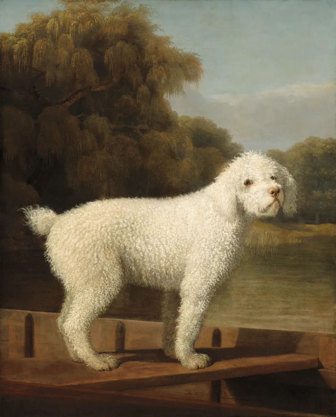 White Poodle in a Punt, oil painting by George Stubbs, about 1780