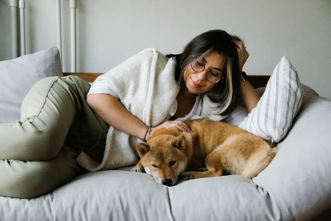 Red Shiba Inu curled up on a sofa next to a woman resting beside it
