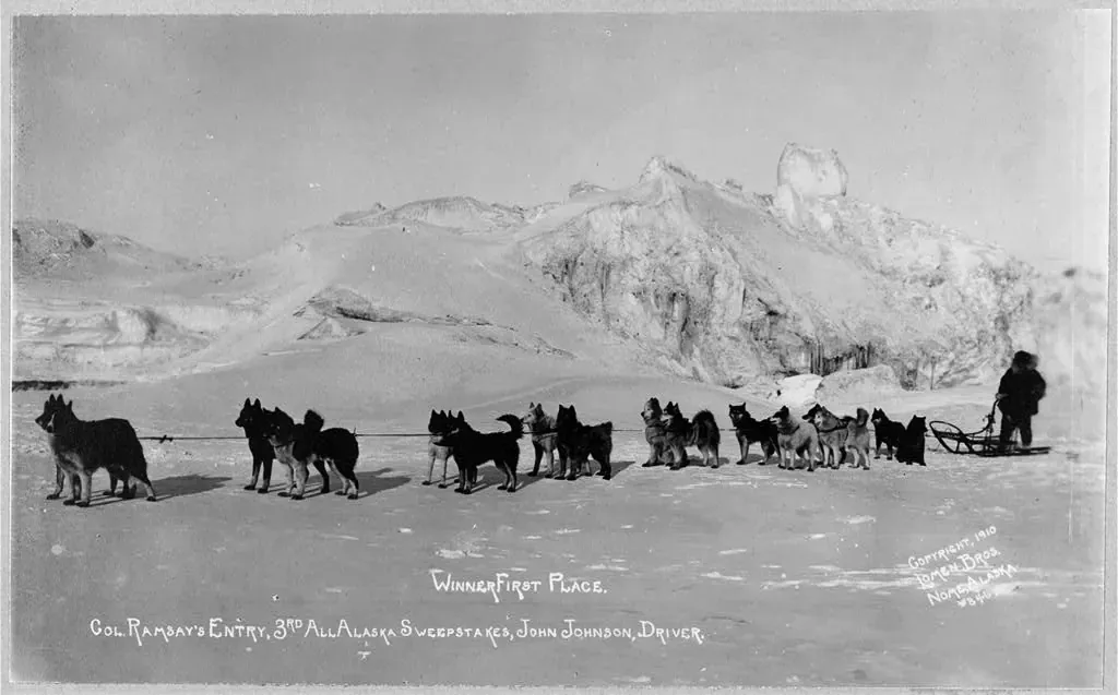 Early Alaska sled dog team crossing a snowy plain, about 1910